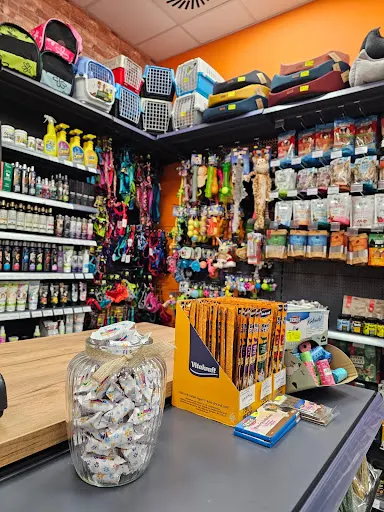 Ale Animale Jaworzno Galeria Galena